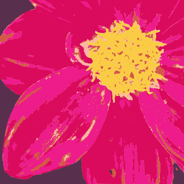 Dahlia flower vector graphics